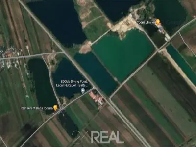 Vanzare teren Ulmi - Giurgiu  -  21150 mp