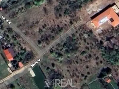 Teren de vanzare in Snagov - 981 mp